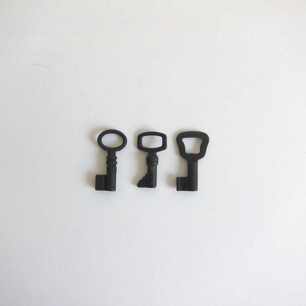 Tiny black keys