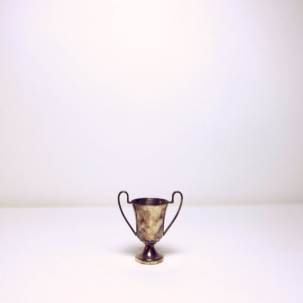 Trophy cup