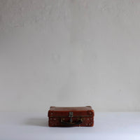 Treasury suitcase