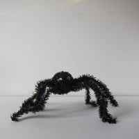 Large spider