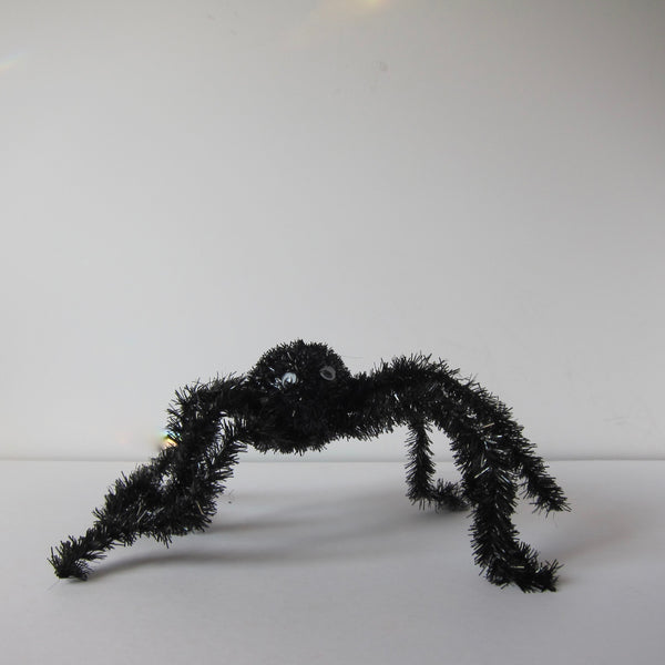 Large spider