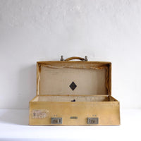 Vellum suitcase