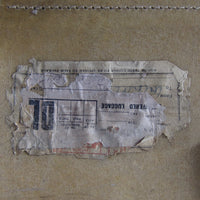 Vellum suitcase