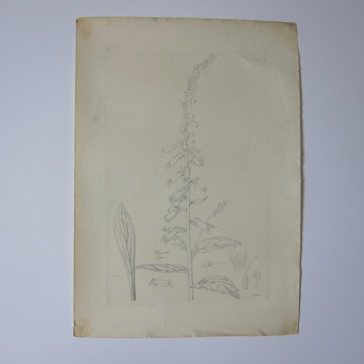 Vintage line drawing – The Prop Bank