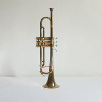 Vintage silver trumpet