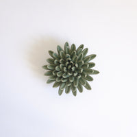 Ceramic wall hung flowers