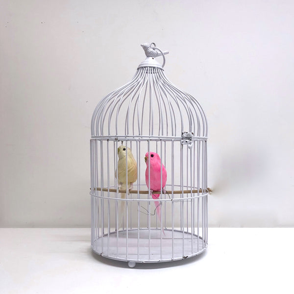 White bird cage