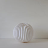 White paper lantern
