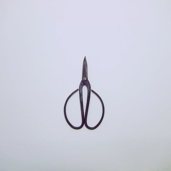Large wide handled black garden scissors.