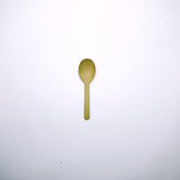 Spoon 17