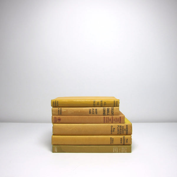Set of 6 yellow vintage books