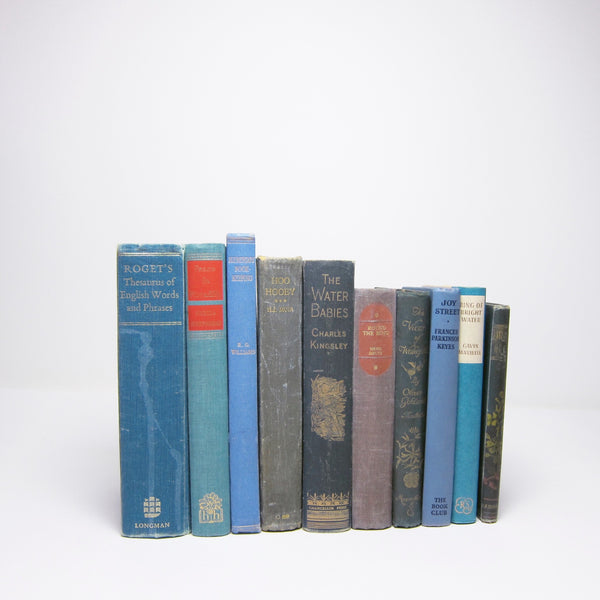 Set of 10 vintage blue books
