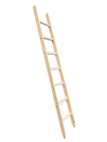 Blue library ladder
